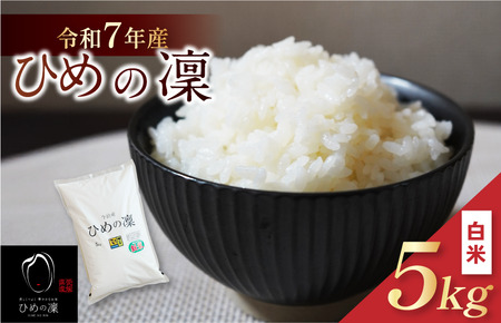 【令和7年産】【2025年11月10日から順次発送】今治産 米（ひめの凜）5kg【VB01580】米 お米 コメ おこめ 白米 精米 ごはん ご飯 ひめの凜 愛媛県産 今治産 米
