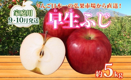 りんご 早生ふじりんご 青森県産 家庭用早生ふじ りんご【約5kg】【9〜10月発送】