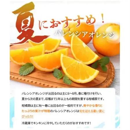 【2027年6月下旬頃発送】【ご家庭用訳あり】希少な国産バレンシアオレンジ　7kg【日高町】【配送不可地域：離島】【1216981】