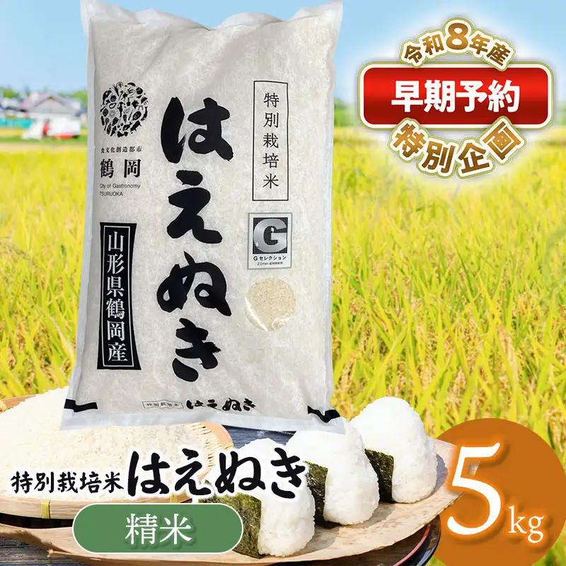特別栽培米 はえぬき 精米5kg 【令和8年産新米】