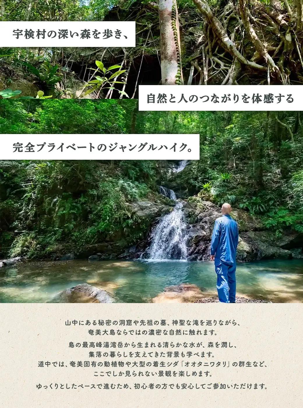 宇検ジャングル冒険 4名様 奄美大島 宇検村 鹿児島県 旅行 自然 冒険 完全プライベート