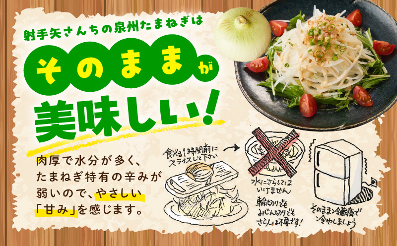【プレミアム】泉州たまねぎ 5kg【玉ねぎ タマネギ 玉葱 甘い 野菜 国産 オニオン サラダ カレー バーベキュー 先行予約】 G3526
