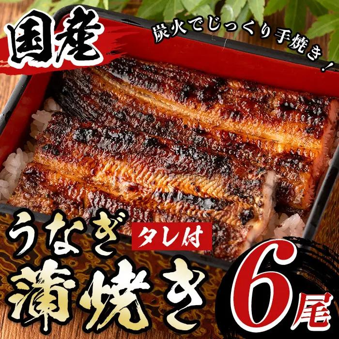 国産！うなぎ蒲焼き(6尾・タレ付き) 国産 九州産 鹿児島県 宮崎県 鰻 ウナギ unagi うな重 うな丼 ひつまぶし うなじゅう 蒲焼 かばやき 白焼 しらやき 無頭 魚 魚介類 土用 丑の日 タレ タレ付 おかず 惣菜 冷蔵 特産品 お土産 ギフト プレゼント ご贈答用 【尾方屋】_y512