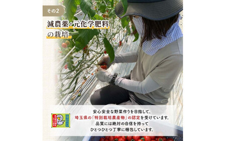 ＜特別栽培農産物＞ファームサイドのこだわりミニトマト 3kg 野菜 トマト ミニトマト 特別栽培 農産物 サラダ ピクルス 炒め物 食品 本庄産 関東 F5K-511