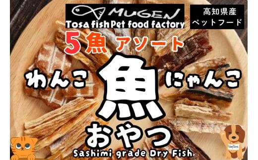 
            M208【犬・猫用】お魚100%わんにゃん 無添加ペットフードおまかせ 旬の5魚アソート
          