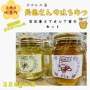 【ふるさと納税】長島さんのはちみつ 百花蜜とアカシア蜜　各250g【配送不可地域：離島】【1409651】