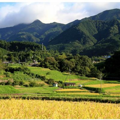 ふるさと納税 東温市 〈坂本自然農場 穂田琉〉 JINEN:ひのひかり　精米5kg |  | 03