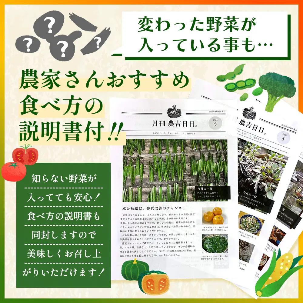 広島県庄原産「旬の野菜」詰め合わせ箱（13～15品目）野菜セット やさい