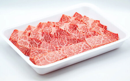 【3回定期便】五島列島産 黒毛和牛 焼肉上カルビ 500g 五島市/山口Farm[PGJ058]
