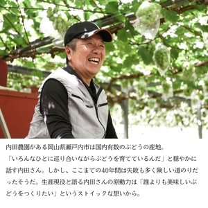 シャインマスカット1房（800g前後）内田農園 岡山県 瀬戸内市 邑久町産 葡萄 ぶどう 2025年【配達不可：北海道・沖縄・離島】 果物類 ブドウ フルーツ 