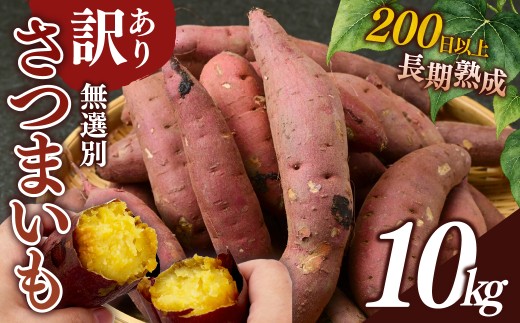 紅はるか【訳あり】長期熟成のさつまいも 10kg 扇屋商店｜紅はるか  国産 サツマイモ 薩摩芋 さつま芋 10kg ポテト 焼いも 焼き芋 焼芋 無添加 おやつ 自然食品 ねっとり 甘い 自然甘味 ひたちなか 茨城県
