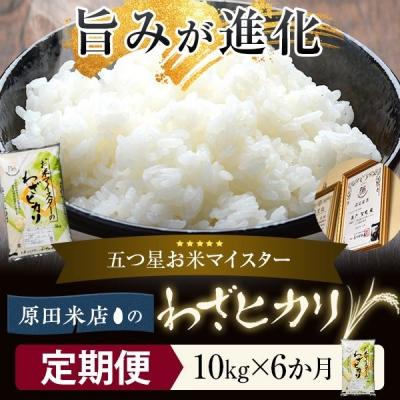 ふるさと納税 薩摩川内市 【定期便6か月】わざヒカリ 10kg 米 毎月10日発送　KSS-603