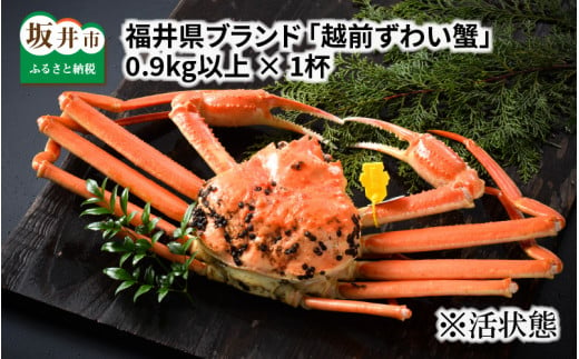 【先行予約】福井県ブランド ≪茹で≫「越前ズワイ蟹」 0.9kg以上 【2024年12月発送分】 [K-1401_12]