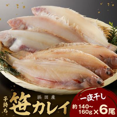 ふるさと納税 浜田市 大秀商店の「干し子持ち笹かれい(140g〜160g)」6尾入り