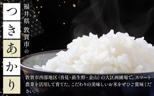[108-a003]令和8年産米 つきあかり精米 5kg