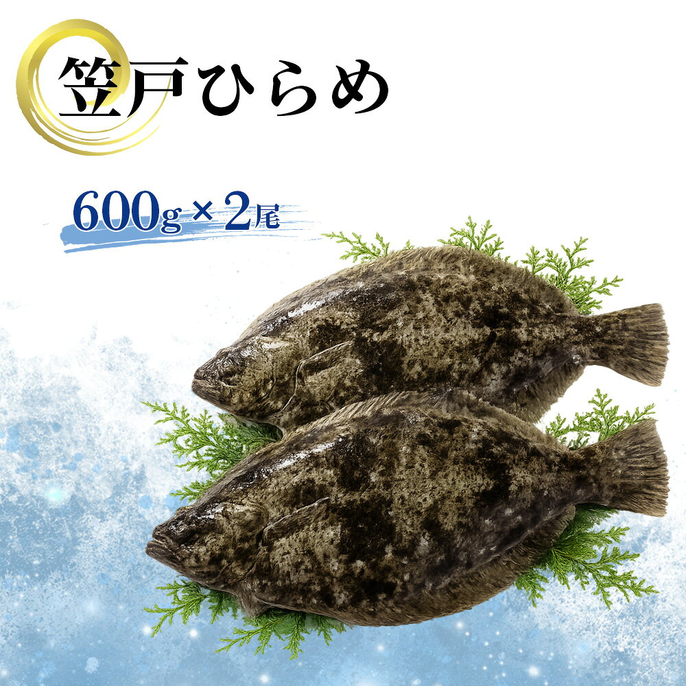 【ふるさと納税】 笠戸ひらめ ／ ひらめ ヒラメ 鮮魚 刺身用 笠戸ひらめ 魚 旬 魚介 下松 産地直送 旨み 食感 海の幸 お取り寄せ ごちそう グルメ 家庭料理 下松市ヒラメ 瀬戸内 新鮮 送料無料 山口県 No.003