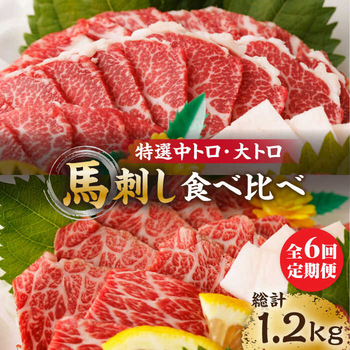 【ふるさと納税】【6回定期便】特選霜降り馬刺し 中トロ大トロ2種食べ比べセット 計200g（各1pc）＋タレ小 馬刺し 特選霜降り馬刺し 馬刺し 馬肉 桜肉 馬 肉 霜降り 中トロ 大トロ タレ付き 冷凍 おつまみ 刺身 九州 熊本県 特産品 山鹿 送料無料【馬刺しの郷 民守】[ZBL078]