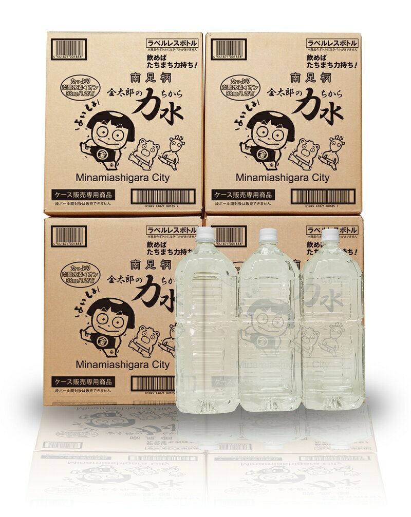 【ふるさと納税】おためしBセット 南足柄 金太郎の力水 ラベルレス 2L×24本 （6本入×4箱）【 飲料 飲料水 天然水 ミネラル ウォーター 美味しい 水 お水 ギフト プレゼント まとめ買い 災害 備蓄品 保存 神奈川県 南足柄市 】