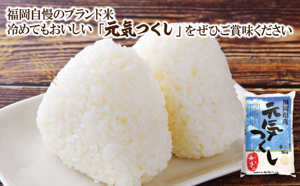 【新米】令和7年産 無洗米 元気つくし2kg