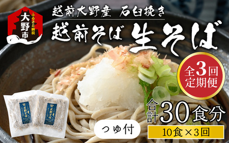 【3ヶ月定期便】生そば 10食 × 3回 計30食 つゆ付｜越前そば  大野  名水  石臼挽き