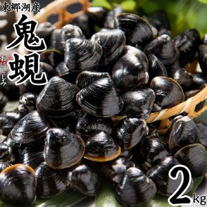 選べる 内容量 大粒 冷凍 しじみ 鬼蜆 特大 1kg おにしじみ 東郷湖 特大 大きい 砂抜き 不要 加熱用 直送 新鮮 味噌汁 みそ汁 パスタ ボンゴレ 肝臓 二日酔い オルニチン ダイヤ 銘柄 ブランド 鳥取県 湯梨浜町 名産 特産品 人気 おすすめ 送料無料 58M