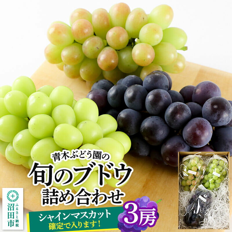 【ふるさと納税】《9月上旬〜下旬発送》青木ぶどう園の旬のブドウ詰め合わせ 3房 [お任せ おまかせ 葡萄 ぶどう ブドウ 群馬県 沼田市 シャインマスカット フルーツ くだもの 果物 詰め合わせ]