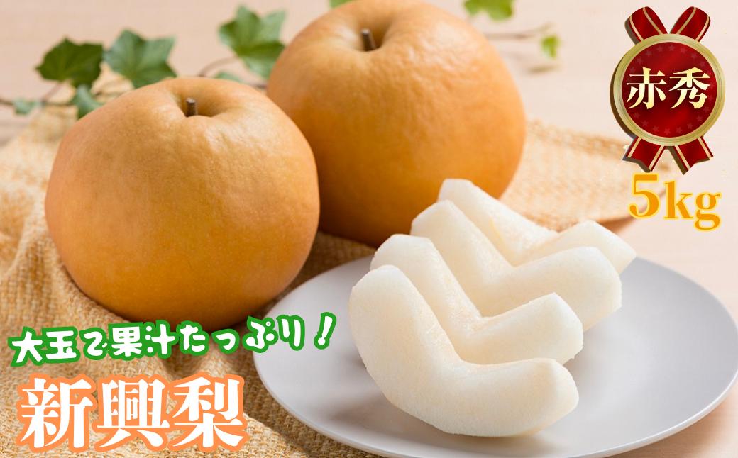 
                  【2026年発送分先行受付】新興梨(赤秀) 5kg
                