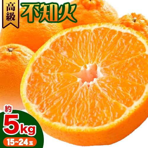 【ふるさと納税】【先行予約】高級 不知火 ( デコポン と同品種) 約5kg 15~24玉 主井農園《2月中旬-3月上旬頃出荷》 和歌山県 日高町 みかん 柑橘 しらぬい 高級不知火 デコポン デコ でこぽん 贈答 贈り物 おくりもの プレゼント ギフト 記念日 送料無料