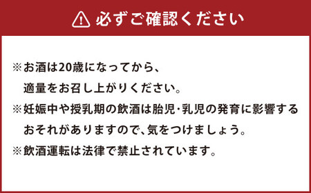熊本の銘店がオススメする熊本県産酒こだわり球磨焼酎(米) 720ml 2本 25度 米焼酎