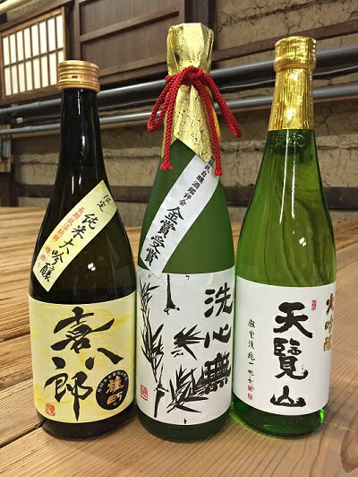 【ふるさと納税】【日本酒】天覧山 大吟醸3本セット　 純米大吟醸酒 お酒 大吟醸酒 　お届け：発注後、2週間程度 HNNBG003