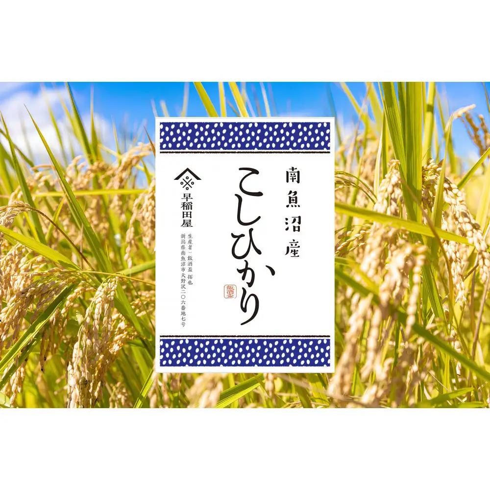 【ふるさと納税】【令和8年産新米予約】南魚沼産コシヒカリ 5kg　塩沢産コシヒカリ【銘柄米 ブランド米 精米 こしひかり コシヒカリ 魚沼産 新潟米 産地直送 お米 米 こめ】【2026年10月中旬より1ヵ月以内に順次発送予定】