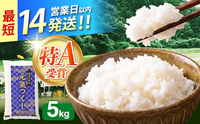 
                  令和7年産　福岡県　元気つくし　5kg　《築上町》【カネガエ】 [ABFA004]
                