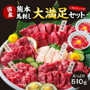 【ふるさと納税】 国産 熊本 馬刺し 「大満足セット+人気の馬肉ユッケ100g付き」 約12人前 合計約510g 6種 馬刺 馬肉 上赤身 中トロ 大トロ たてがみ ロース ユッケ ユッケタレ 専用醤油付き 醤油 生食 冷凍 プレゼント 贈り物 内祝い 送料無料