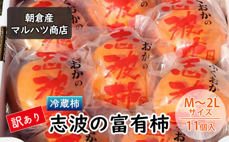 【訳あり】 柿 冷蔵柿 志波の富有柿 M～2Lサイズ×11個入 柿