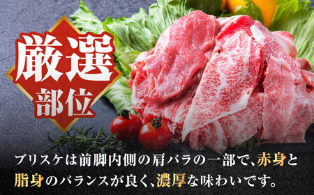 【全6回定期便】厳選佐賀牛バラ切落としスライス500g / 有限会社片岡精肉店 [41AEAC011]