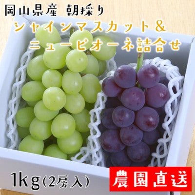 朝採りシャインマスカット＆ニューピオーネ　計1kg【配送不可地域：離島・北海道・沖縄】【1632463】