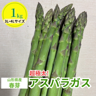 
                  ＜先行予約＞令和9年 山形県川西町産 雪国春アスパラガス (超極太) 3L～4Lサイズ　1kg【1764698】
                