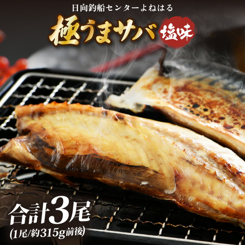 【ふるさと納税】【年内配送】干物 鯖一夜干し 「よねはる」お薦めの極うまサバ【塩味】1尾×3パック 合計3尾 【さば 冷凍 焼き魚 焼魚 切身 切り身 サバ フィレ 干物 小分け 個包装 真空パック ご飯のお供 酒の肴 お弁当 惣菜 】お買い物マラソン 買い回り [m17-a053]