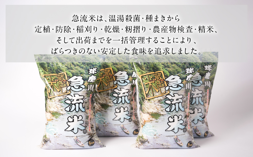 《令和7年産》熊本県八代市産 球磨川急流米 ヒノヒカリ 20kg 国産 白米 精米 お米 コメ 米 ライス ご飯 ごはん 白飯