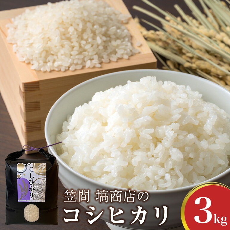 【ふるさと納税】令和7年度産 笠間 塙商店の コシヒカリ 3kg 米 新米 精米 ブランド米 お米 白米 国産 おにぎり 弁当 R7年産 ごはん おいしい 旨い ふっくら お米 茨城県 笠間市 いばらき