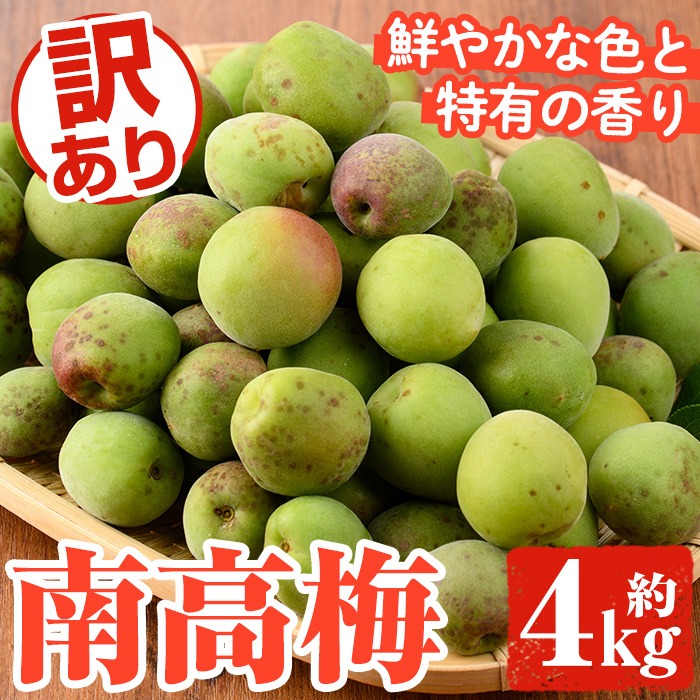 訳あり！鹿児島県産 南高梅(約4kg) 国産 果物 梅 うめ ウメ ナンコウウメ 和食 梅干し 梅酒 梅シロップ 訳アリ サイズ混合 期間限定【松永青果】akn053-09