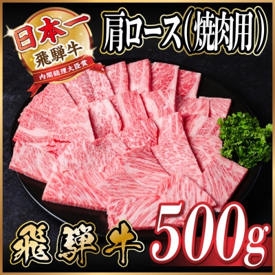 飛騨牛　厳選肩ロース(焼肉・BBQ用)500g　A4～A5等級【冷凍便】【配送不可地域：離島】【1543801】