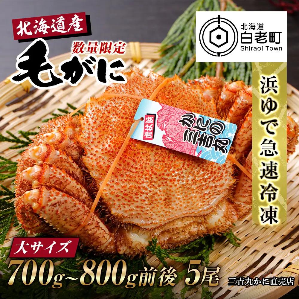 【大サイズ】北海道産 冷凍ボイル毛ガニ (700g-800g前後) 5尾 AS195