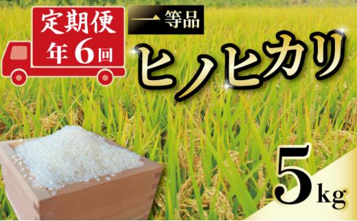 定期便 6回 一等品 京都府産 ヒノヒカリ 5kg 白米 宇治 ごはん ひのひかり 令和6年産 京都 京都府 減農薬 EJ06