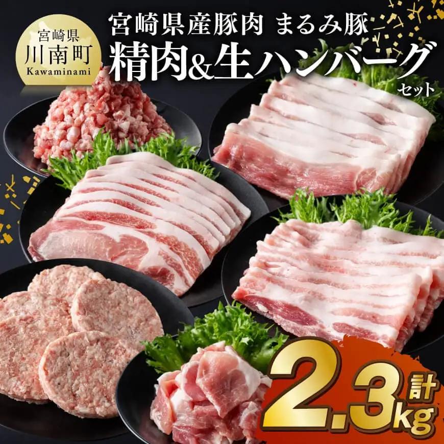 豚肉 宮崎県産豚肉 「まるみ豚」総重量2.3kg豚肉バラエティセット　生ハンバーグ5個入り お手軽 真空パック 豚肉