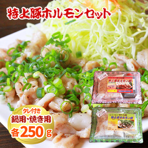 特上 豚ホルモン セット 500g 【さくら亭】 / ホルモン鍋 塩焼き 豚肉 ホルモン