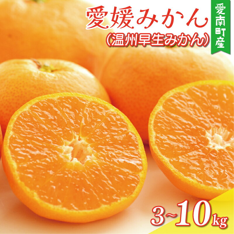 【ふるさと納税】 数量限定 先行予約 選べる 規格 内容量 愛媛みかん 3kg 5kg 10kg 訳あり 秀品 贈答用 贈答品 わけあり 温州みかん みかん mikan 蜜柑 ミカン 国産 期間限定 特産品 人気 限定 甘い フルーツ 果物 柑橘 おいしい 小玉 含む 渚のみかん園 愛南町 愛媛県