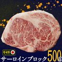 【ふるさと納税】【宮崎牛】 サーロイン ブロック 500g [SHINGAKI 宮崎県 美郷町 31ag0056] 黒毛 和牛 ステーキ 国産 宮崎 A4 A5等級 牛肉 焼肉 宮崎県産 冷凍 送料無料 ブランド 牛 肉 霜降り BBQ バーベキュー キャンプ