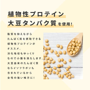 G-120　プロテインDIET贅沢ショコラ風味 300g×2個セット