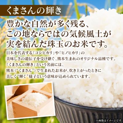 ふるさと納税 八代市 《令和7年産》 くまさんの輝き 5kg × 1袋 米 お米 精米 白米_311-7181 |  | 01